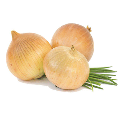 Fresh Yellow Onion