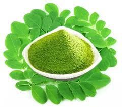 Moringa Powder