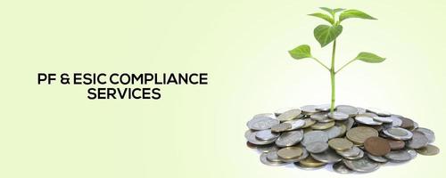 Pf And Esic Compliance Services By Shaiguru Technologies