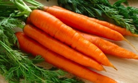 Fresh Carrot