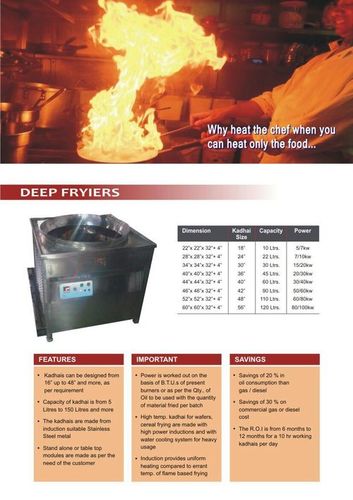 Heavy Duty Deep Fryer