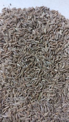 Cumin Seed