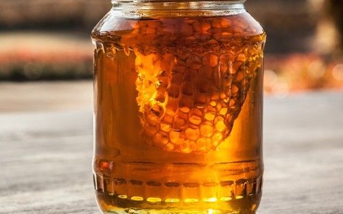 High Grade Forest Honey