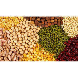 Organic Pulses