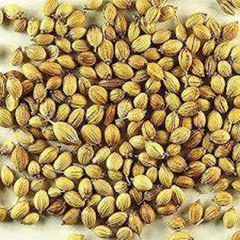 Ambrette Seed Extract