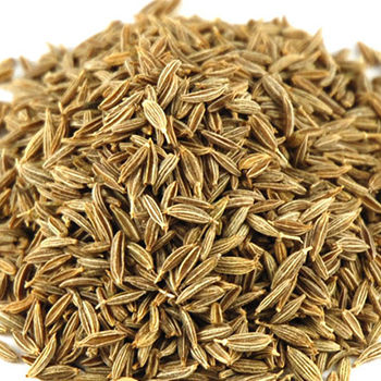 Grey Cumin Seed Total Extract