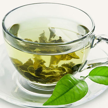 Green Tea Extract