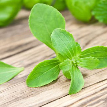 Stevia Extract