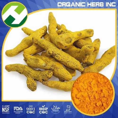 Orange Turmeric Curcuma Longa Extract