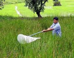 जैव कीट नियंत्रण सेवाएं