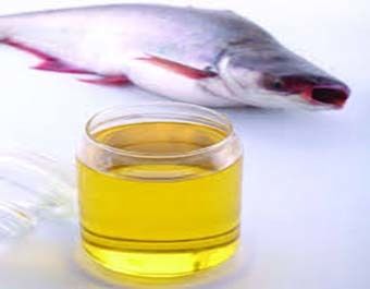 Crude Pangasius Fish Oil