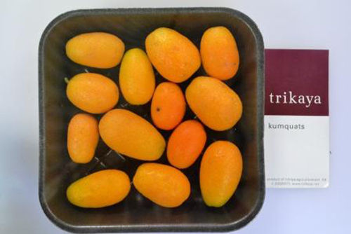 Kumquats (Oval) Fruit