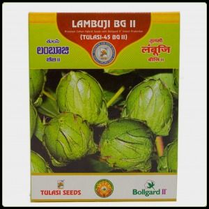 Lambuji Bg Ii Seeds