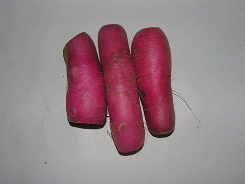 Radish Long Red