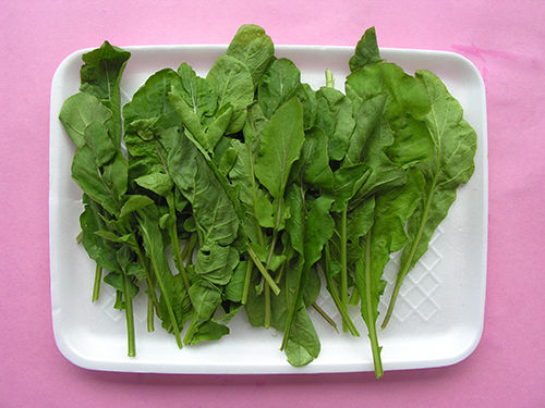 Roquette Vegetable