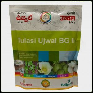 Tulasi Ujwal Bg Ii Seed