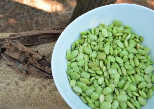 Butter Beans Packaging: Pack