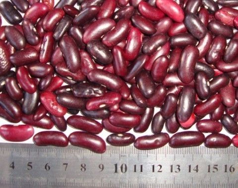 Dark Red Kidney Beans