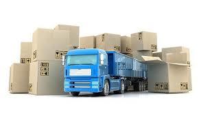 Domestic Logistic Services