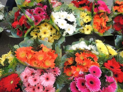 Yellow Gerbera Cut Flowers