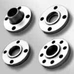 PARASURAM Stainless Steel Flanges