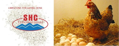 Vietnam Limestone 2-3Mm, 80 Mesh, 250 Mesh For Feed Additives Application: Agriculture
