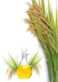 Rice Bran Refined Oil