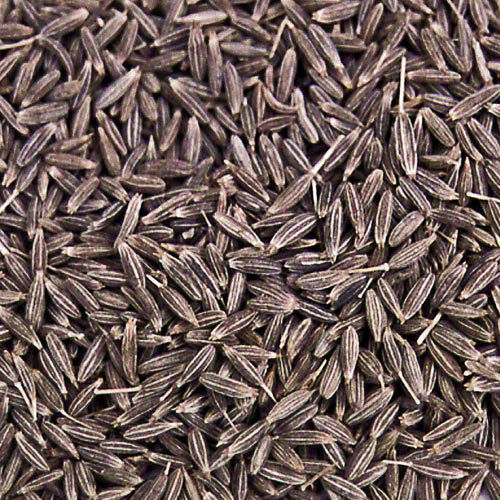 Herb Seeds