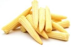 Baby Corn - Fresh Harvested Baby Corn, Rich Flavor and High Quality