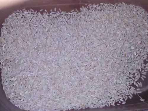 Broken White Silky Rice