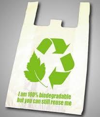 Biodegradable Carry Bags