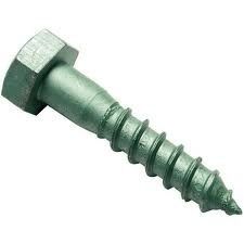 Coach Screw