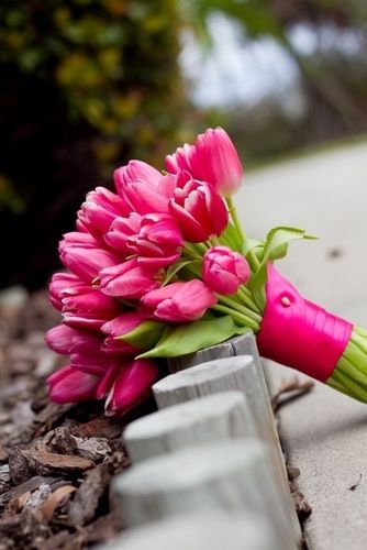 Pink Tulip Flower Bouquets