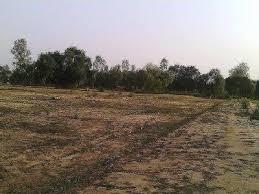 प्लॉट और संपत्ति