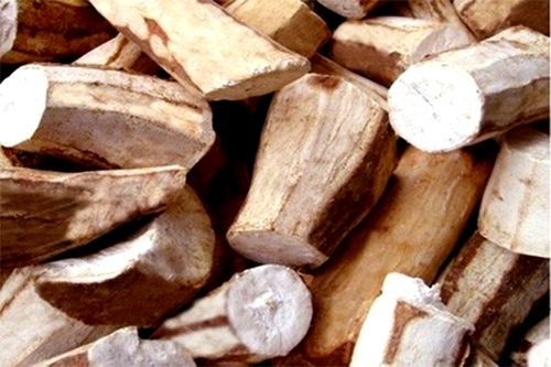 Cassava