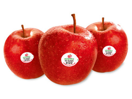 Fresh Red Apples By KHANHVUA EXCO COMPANY