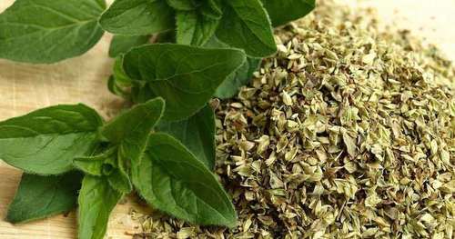 Organic Product Oregano Leaves