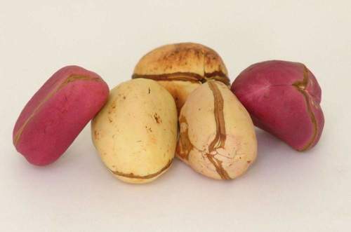 Kola Nuts - Bitter Flavor, Rich in Caffeine | Chewable Snack for Ceremonial Use, Authentic West African Tradition