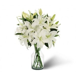 oriental lilies