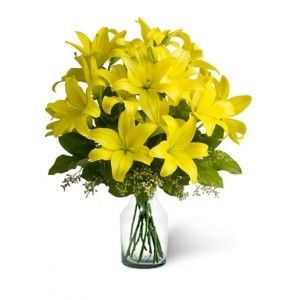 Bloom Yellow Lilies