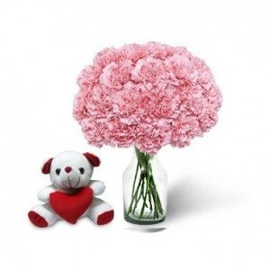 Dozen Pink Carnation Bouquet And Teddy
