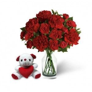 Dozen Red Carnation Bouquet & Teddy
