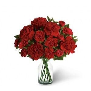 Dozen Red Carnation Flower Bouquet