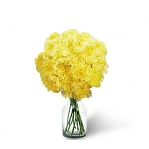 Dozen Yellow Carnation Bouquet