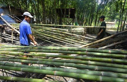 Providing Luong Bamboo Poles