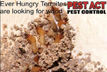 Termite Control Service By Pest Act Pest Control