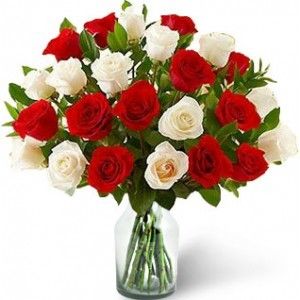 Two Dozen Red-White Rose Bouquet