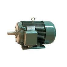 Marine AC DC Motor