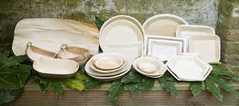 Eco-Friendly Leaf Plates