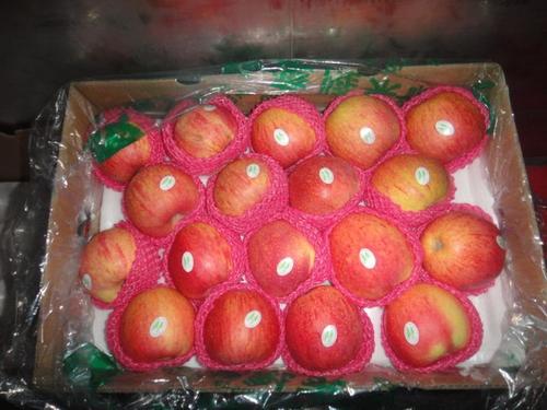 Apple Fruit